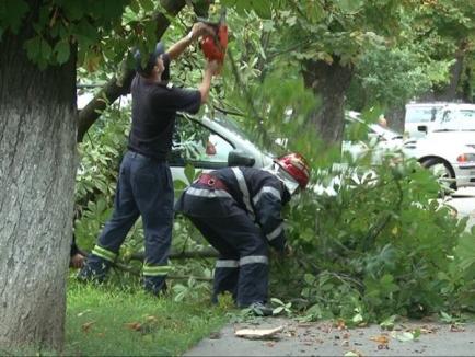 Două maşini avariate de doi copaci căzuţi în furtuna de duminică seară 
